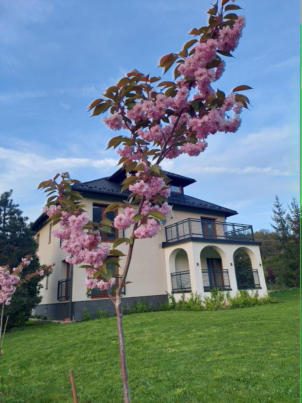 Apartamenty Brenna Klimorowka 외부 사진